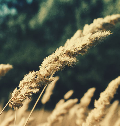 ddos服务器攻击手段